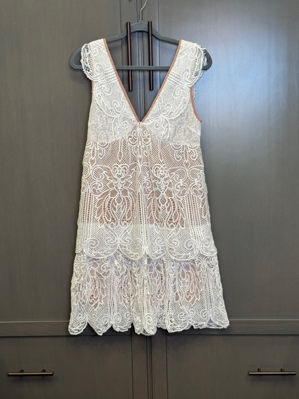 Sugar Lips Anthropologie Melissa Royal Lace Overlay Dress Ivory / Nude - Small - Picture 2 of 9